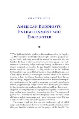 American Buddhists: Enlightenment and Encounter