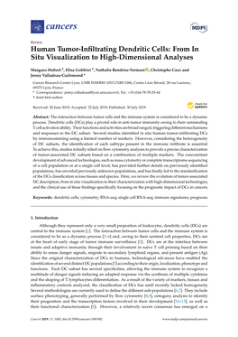 Human Tumor-Infiltrating Dendritic Cells: from in Situ Visualization To