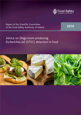 STEC) Detection in Food Shiga Toxin-Producing Escherichia Coli (STEC) Are Synonymous with Verocytotoxigenic Escherichia Coli (VTEC)