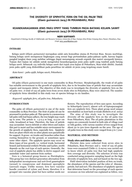 THE DIVERSITY of EPIPHYTIC FERN on the OIL PALM TREE (Elaeis Guineensis Jacq.) in PEKANBARU, RIAU