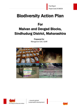Biodiversity Action Plan Full Report