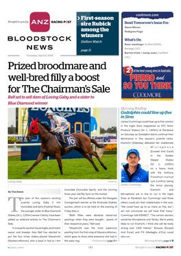 Prized Broodmare and Well-Bred Filly a Boost for the Chairman's Sale