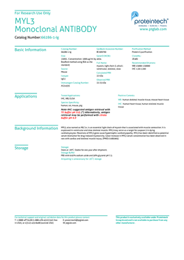 MYL3 Monoclonal ANTIBODY Catalog Number:66286-1-Ig