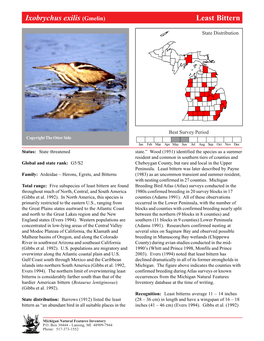 Ixobrychus Exilis (Gmelin) Leastleast Bitternbittern, Page 1