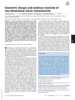 Geometric Charges and Nonlinear Elasticity of Two-Dimensional Elastic Metamaterials