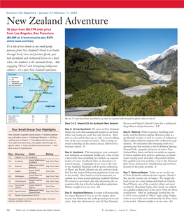 New Zealand Adventure