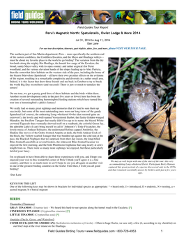 Spatuletails, Owlet Lodge & More 2014 BIRDS