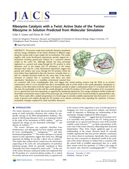 Active State of the Twister Ribozyme in Solution Predicted from Molecular Simulation Colin S