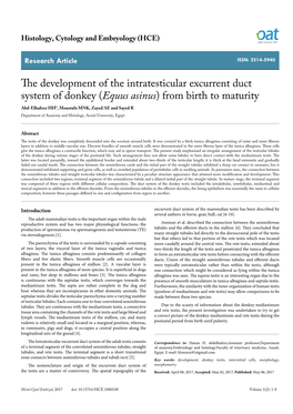 The Development of the Intratesticular Excurrent Duct