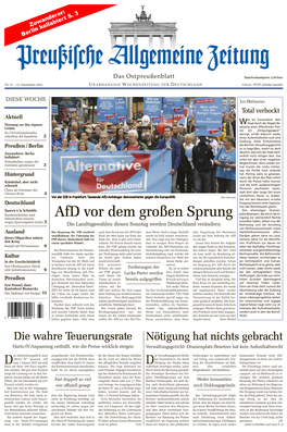 Afd Vor Dem Großen Sprung