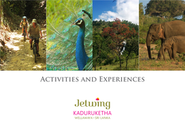 Activities and Experiences