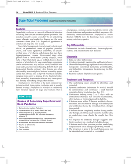 Superficial Pyoderma