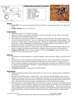 Chilean Rose-Haired Tarantula Native Range Map