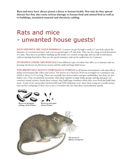 Rats and Mice Have Always Posed a Threat to Human Health