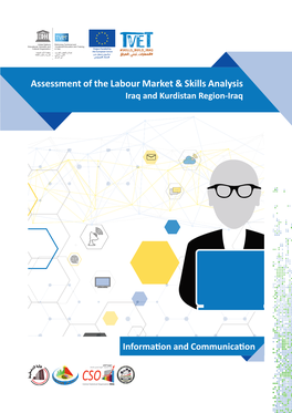 Assessment of the Labour Market & Skills Analysis