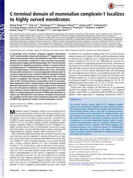 C-Terminal Domain of Mammalian Complexin-1 Localizes to Highly Curved Membranes