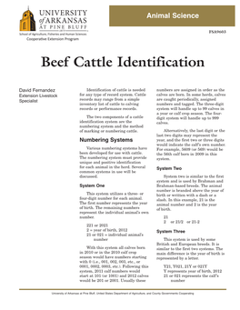 Beef Cattle Identification