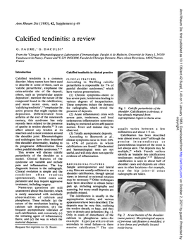 Calcified Tendinitis: a Review