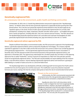 Genetically Engineered Fish: an Unnecessary Risk to the Environment, Public Health and Fishing Communities