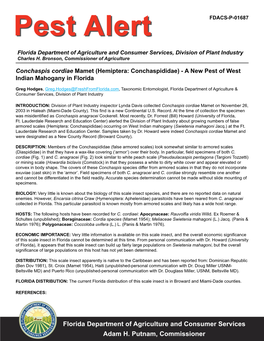 Conchaspis Cordiae Mamet (Hemiptera: Conchaspididae) - a New Pest of West Indian Mahogany in Florida