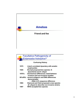 Entamoeba Histolytica?