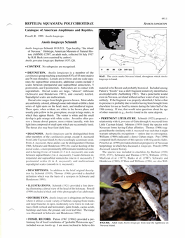 SQUAMATA: POLYCHROTIDAE Anolis Longiceps Schmidt