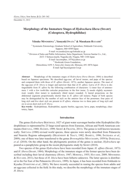 Morphology of the Immature Stages of Hydrochara Libera (SHARP) (Coleoptera, Hydrophilidae)