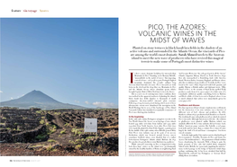 The World of Fine Wine – Pico the Azores, Volcanic Wines in the Midst