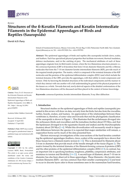 Structures of the ß-Keratin Filaments and Keratin Intermediate Filaments in the Epidermal Appendages of Birds and Reptiles (Sauropsids)