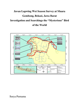 Javan Lapwing Wet Season Survey at Muara Gembong, Bekasi, Jawa Barat Investigation and Searchings the “Mysterious” Bird of the World