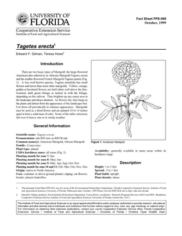 African) Marigold Tagetes Erecta and the Smaller-Flowered French Marigold Tagetes Patula (Fig