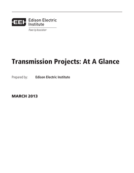 EEI Report March 2013.Pdf