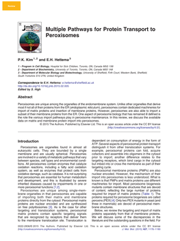 Multiple Pathways for Protein Transport to Peroxisomes