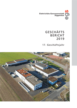 Geschäfts Bericht 2019