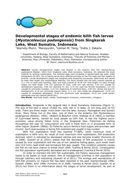 Developmental Stages of Endemic Bilih Fish Larvae (Mystacoleucus Padangensis) from Singkarak Lake, West Sumatra, Indonesia 1Warnety Munir, 1Mansyurdin, 2Usman M
