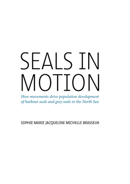 How Movements Drive Population Development of Harbour Seals and Grey Seals in the North Sea