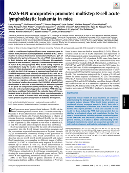 PAX5-ELN Oncoprotein Promotes Multistep B-Cell Acute Lymphoblastic Leukemia in Mice