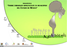 Sobre Embarazo Adolescente En Municipios