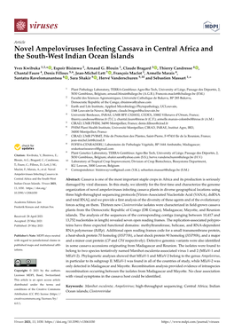 Novel Ampeloviruses Infecting Cassava in Central Africa and the South-West Indian Ocean Islands