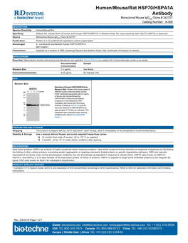 Human/Mouse/Rat HSP70/HSPA1A Antibody