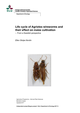 Life Cycle of Agriotes Wireworms and Their Effect on Maize Cultivation – from a Swedish Perspective