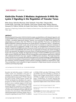 Kelch-Like Protein 2 Mediates Angiotensin II–With No Lysine 3 Signaling in the Regulation of Vascular Tonus