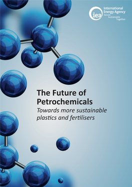 The Future of Petrochemicals