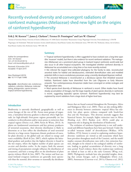 Recently Evolved Diversity and Convergent Radiations of Rainforest Mahoganies (Meliaceae) Shed New Light on the Origins of Rainforest Hyperdiversity