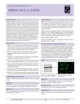 Datasheet Blank Template