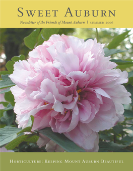 Sweet Auburn Newsletter of the Friends of Mount Auburn | Summer 2006