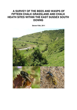 Bees and Wasps of the East Sussex South Downs