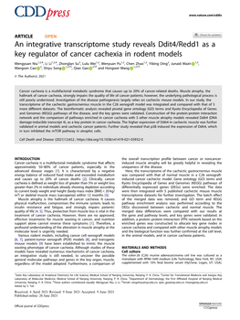 An Integrative Transcriptome Study Reveals Ddit4/Redd1 As a Key Regulator of Cancer Cachexia in Rodent Models