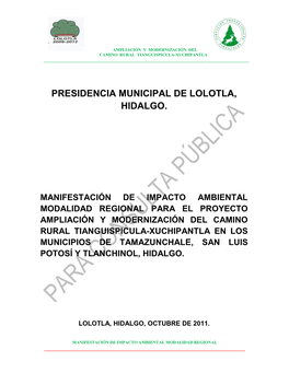 Presidencia Municipal De Lolotla, Hidalgo