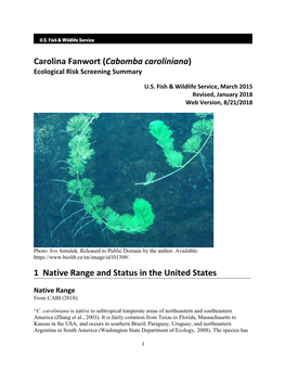 Cabomba Caroliniana) Ecological Risk Screening Summary